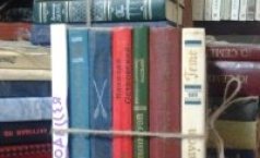 Фото БУККРОССИНГ BOOKCROSSING
