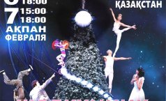 Фото Китайское балетно-акробатическое шоу "Щелкунчик"