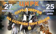 Фото Парад зверей на острове пингвинов