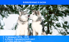 Фото Влюбленные в хаски