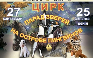 Парад зверей на острове пингвинов