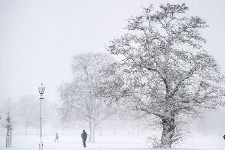 фото Грядущая зима станет самой холодной за 100 лет - СМИ