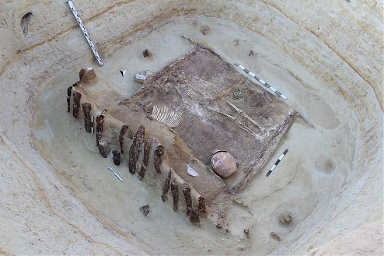 фото В Актобе были найдены останки воинов сарматского периода с полным вооружением