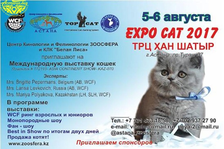 фото Выставка кошек "EXPO-CAT 2017"